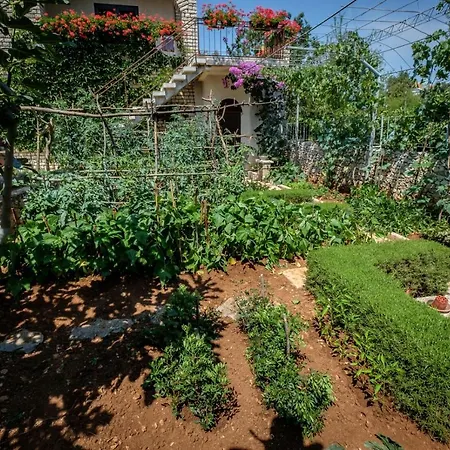 Apartamento By The Sea Razanj, - 15264