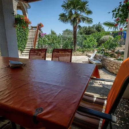 By The Sea Razanj, - 15264