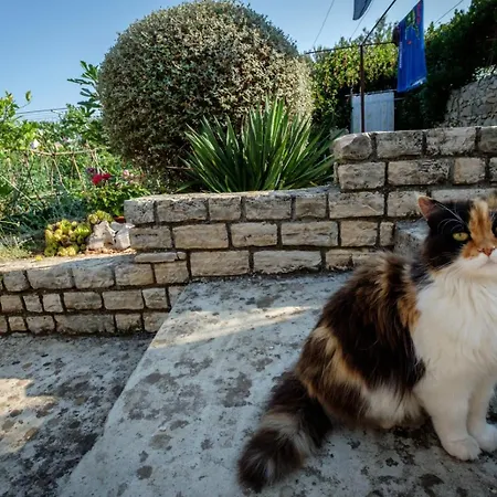 By The Sea Razanj, - 15264