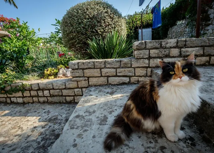 By The Sea Razanj, - 15264