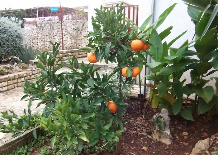 Apartamento By The Sea Razanj, - 15264 Rogoznica (Sibenik-Knin)